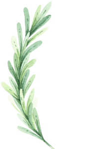 Watercolour green leaf corner design