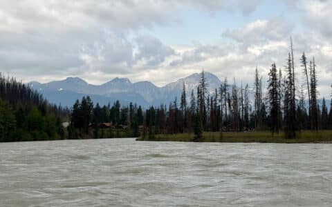 Majestic river view with distant mountains in rugged forest landscape