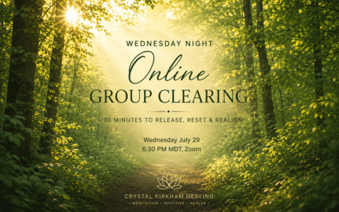 Forest with sunlight promoting online group clearing event